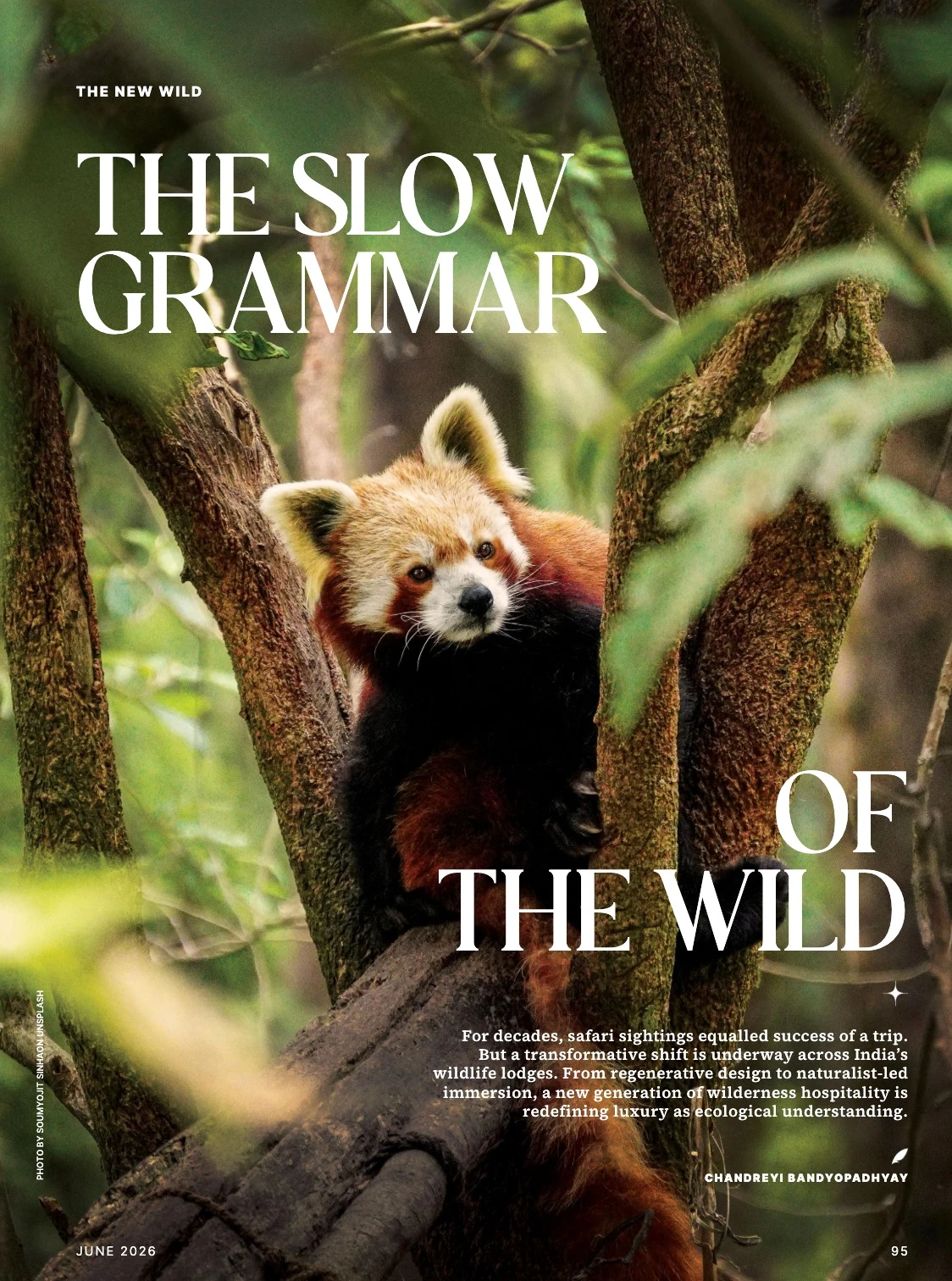 The Slow Grammar of the wild